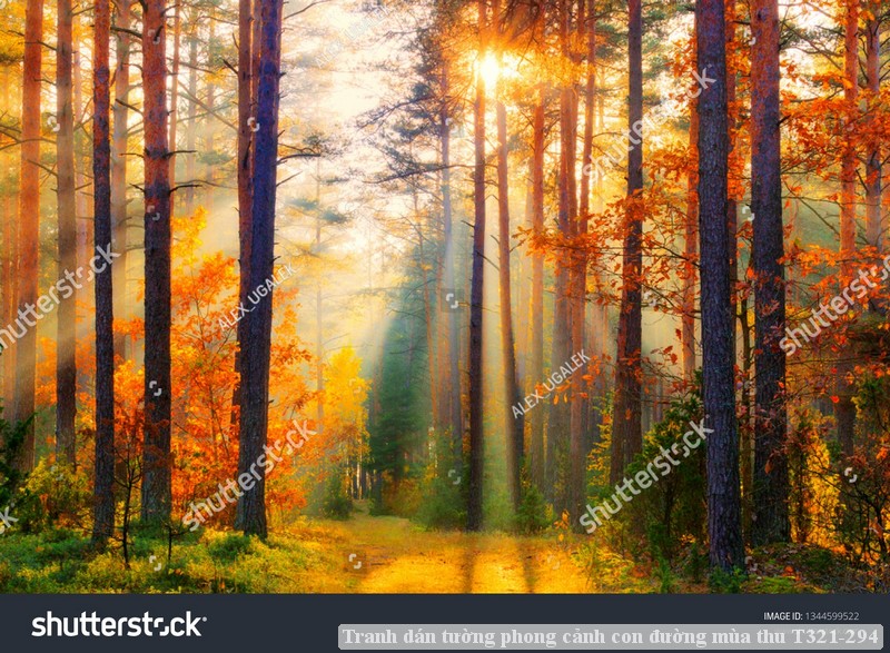 Tranh dán tường phong cảnh con đường mùa thu T321-294